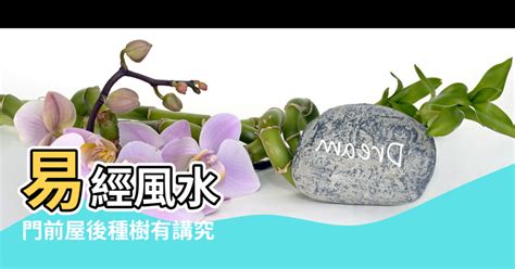 屋後有樹|風水大師：家中要種就種這些樹，能改善家中風水，帶。